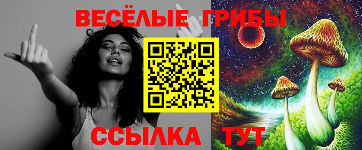 Галлюциногенные грибы Magic Shrooms  Галлюциногенные грибы Psilocybine cubensis  как найти закладки  Вход с VPN  Горячий Ключ 